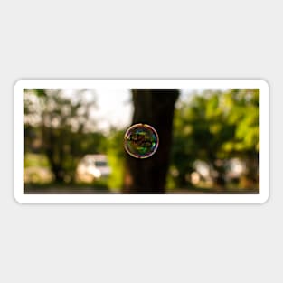 Coloured translucent soap bubble Sticker